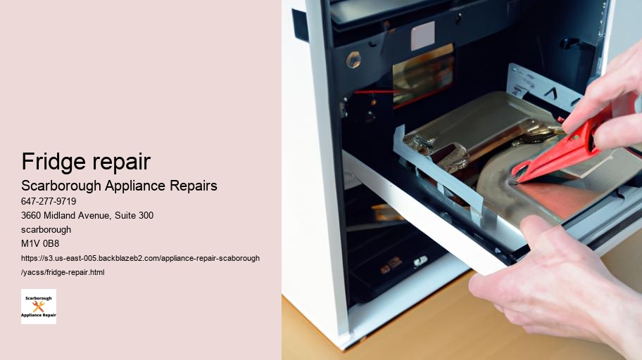 What You Should Know About Appliance Warranties and Repair in Scarborough