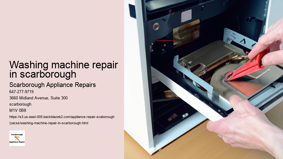 Appliance Repair Scarborough: The Most Common Kitchen Appliance Issues