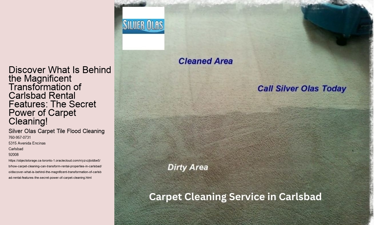 Discover What Is Behind the Magnificent Transformation of Carlsbad Rental Features: The Secret Power of Carpet Cleaning!
