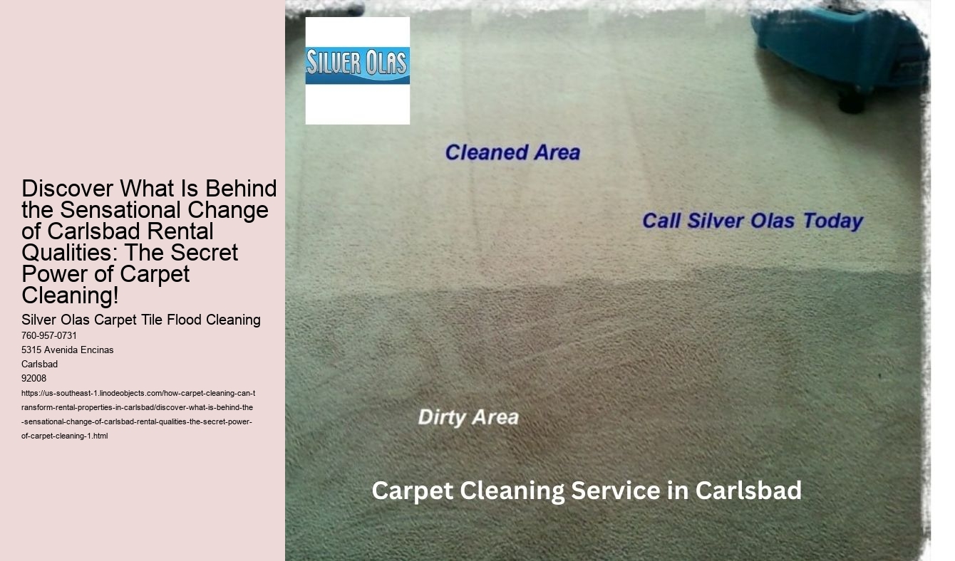 Discover What Is Behind the Sensational Change of Carlsbad Rental Qualities: The Secret Power of Carpet Cleaning!