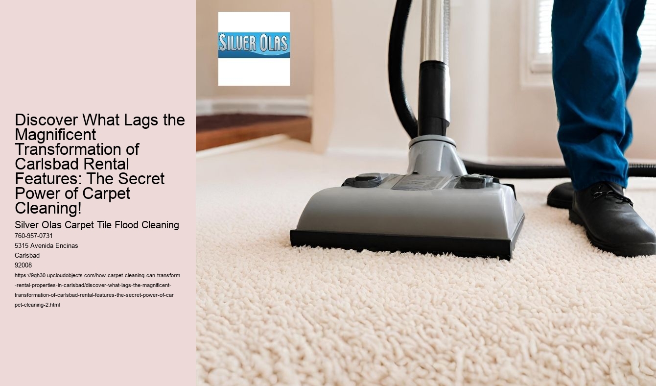 Discover What Lags the Magnificent Transformation of Carlsbad Rental Features: The Secret Power of Carpet Cleaning!