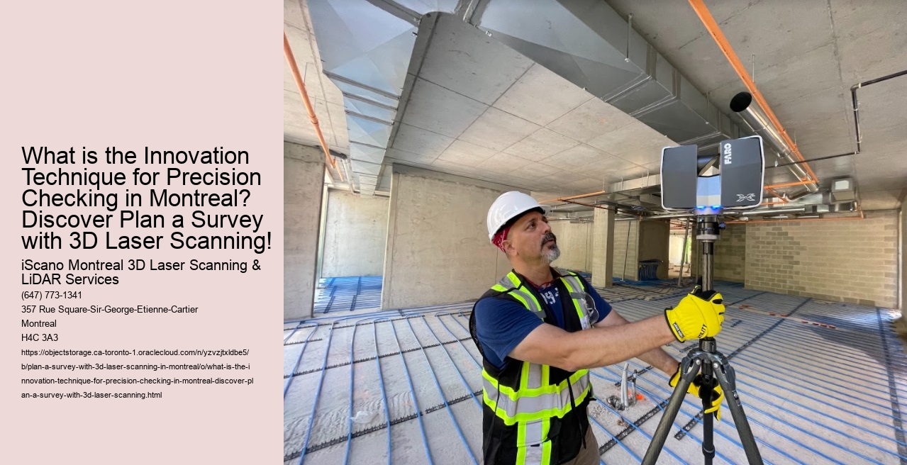 What is the Innovation Technique for Precision Checking in Montreal? Discover Plan a Survey with 3D Laser Scanning!