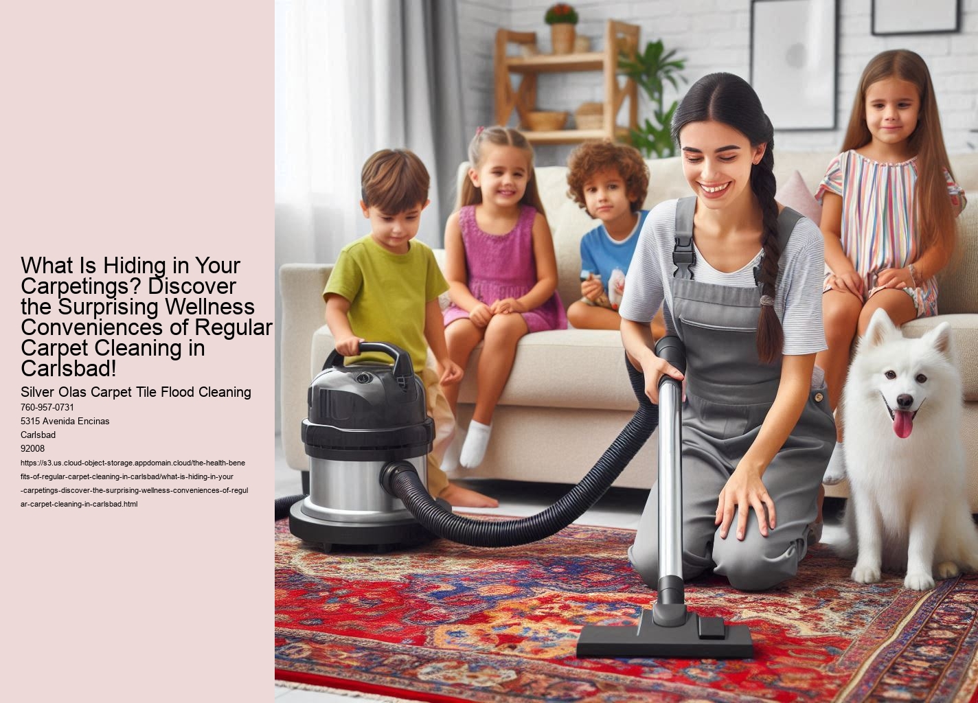 What Is Hiding in Your Carpetings? Discover the Surprising Wellness Conveniences of Regular Carpet Cleaning in Carlsbad!