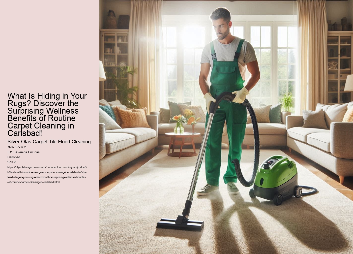 What Is Hiding in Your Rugs? Discover the Surprising Wellness Benefits of Routine Carpet Cleaning in Carlsbad!