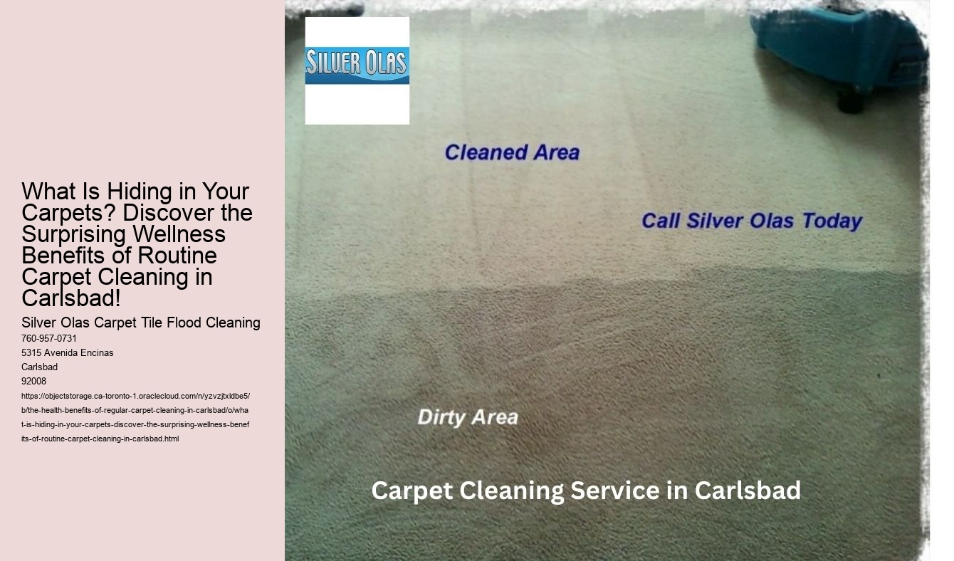 What Is Hiding in Your Carpets? Discover the Surprising Wellness Benefits of Routine Carpet Cleaning in Carlsbad!