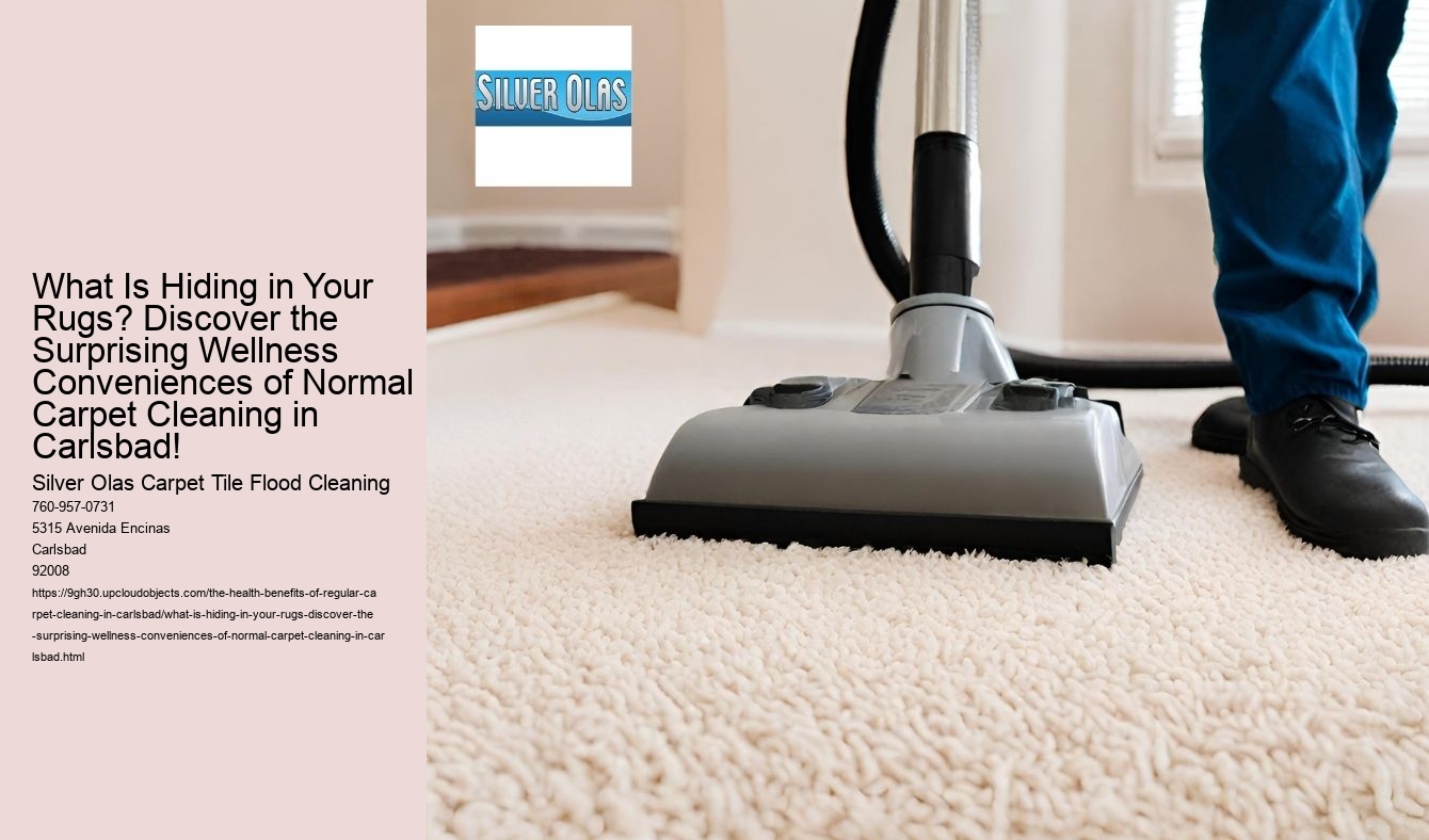 What Is Hiding in Your Rugs? Discover the Surprising Wellness Conveniences of Normal Carpet Cleaning in Carlsbad!