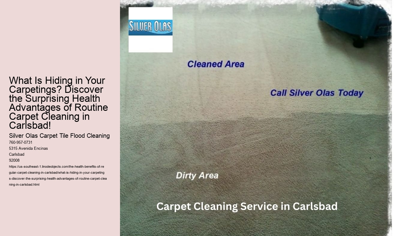 What Is Hiding in Your Carpetings? Discover the Surprising Health Advantages of Routine Carpet Cleaning in Carlsbad!