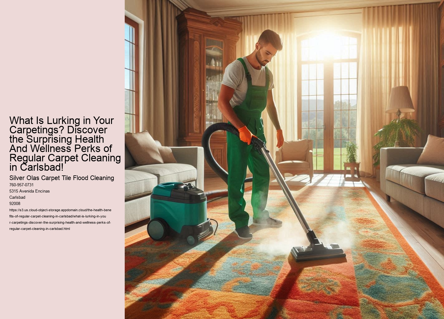 What Is Lurking in Your Carpetings? Discover the Surprising Health And Wellness Perks of Regular Carpet Cleaning in Carlsbad!
