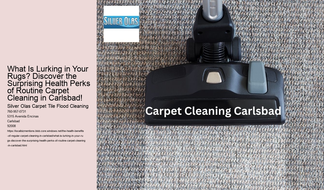 What Is Lurking in Your Rugs? Discover the Surprising Health Perks of Routine Carpet Cleaning in Carlsbad!