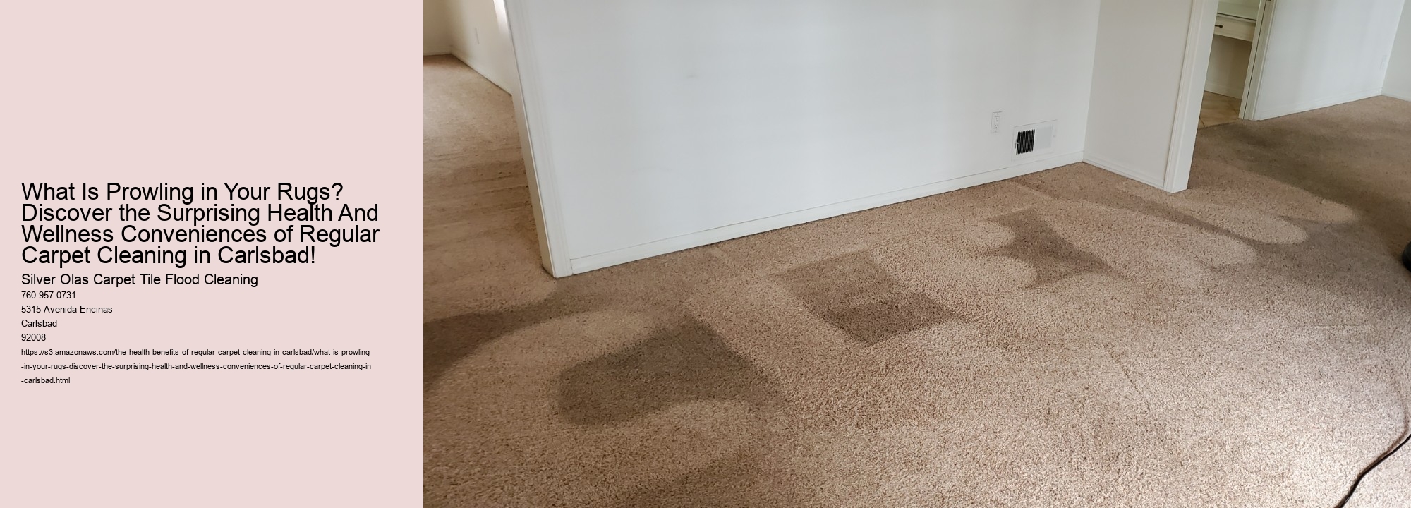 What Is Prowling in Your Rugs? Discover the Surprising Health And Wellness Conveniences of Regular Carpet Cleaning in Carlsbad!