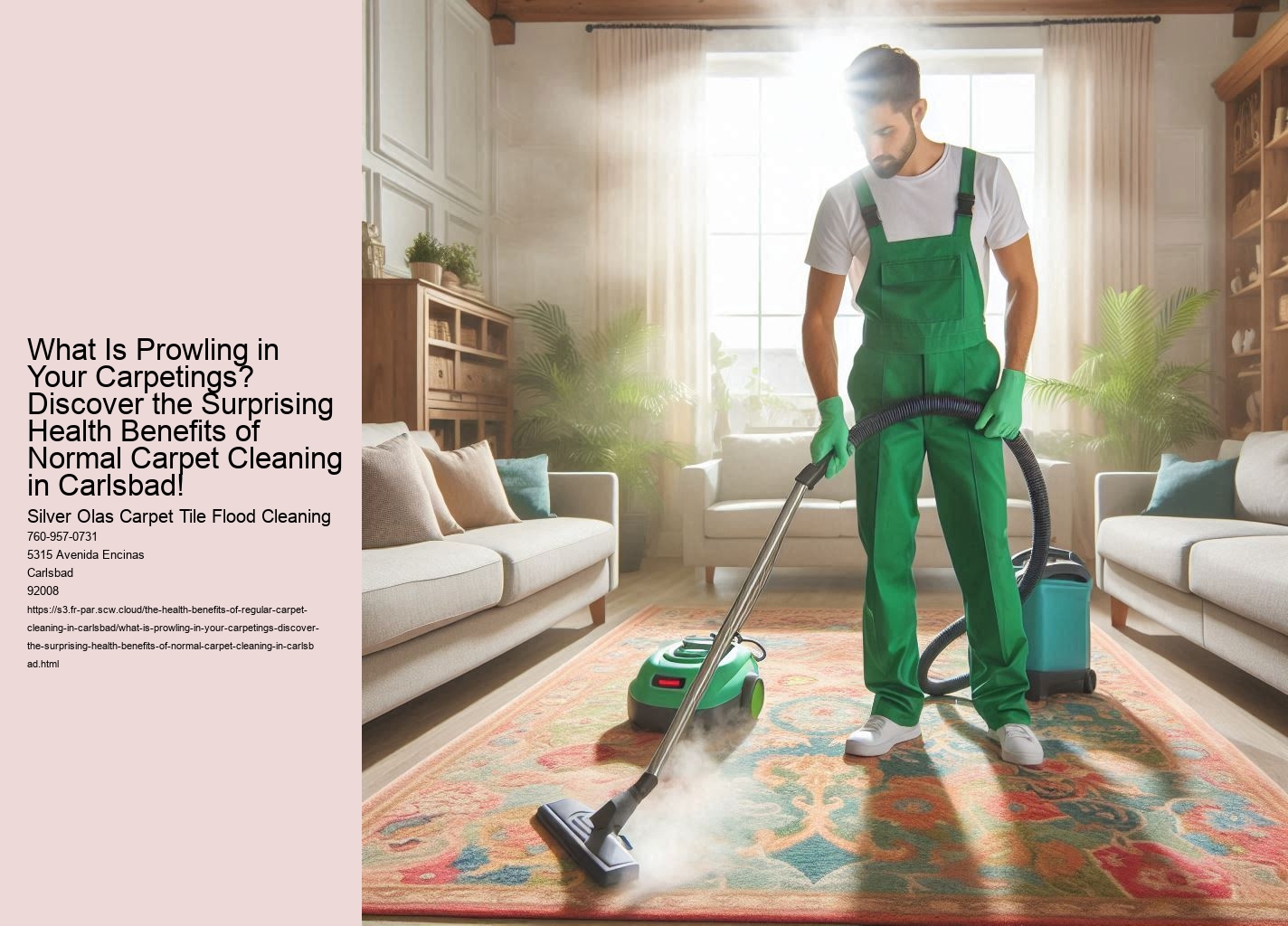What Is Prowling in Your Carpetings? Discover the Surprising Health Benefits of Normal Carpet Cleaning in Carlsbad!