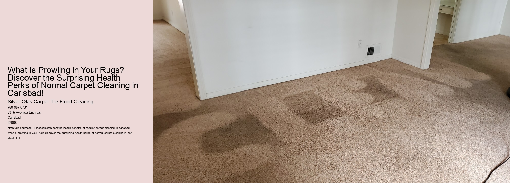 What Is Prowling in Your Rugs? Discover the Surprising Health Perks of Normal Carpet Cleaning in Carlsbad!