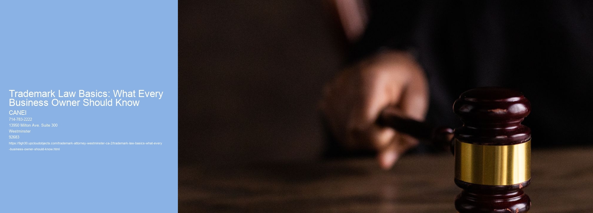 Trademark Law Basics: What Every Business Owner Should Know